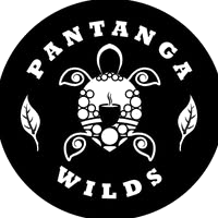 Pantanga Wilds Tea Co.